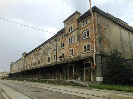 Leggi tutto